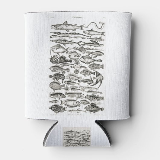 Ichthyologie, Fische, Ozeane, Ichthyologe Dosenkühler (Vorderseite)