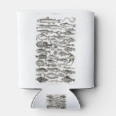 Ichthyologie, Fische, Ozeane, Ichthyologe Dosenkühler (Rückseite)