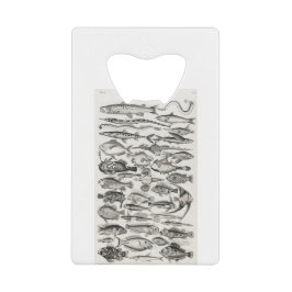 Ichthyologie, Fische, Ozeane, Ichthyologe Geldbeutel Flaschenöffner