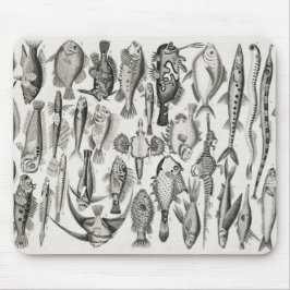 Ichthyologie, Fische, Ozeane, Ichthyologe Mousepad