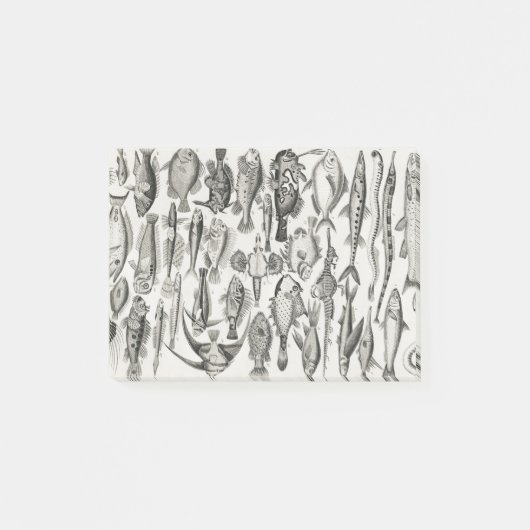 Ichthyologie, Fische, Ozeane, Ichthyologe Post-it Klebezettel (Vorderseite)