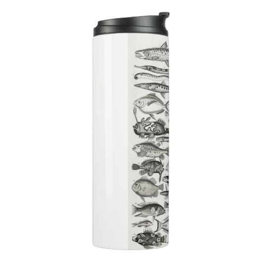 Ichthyologie, Fische, Ozeane, Ichthyologe Thermosbecher (Nach links gedreht)