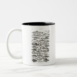 Ichthyologie, Fische, Ozeane, Ichthyologe Zweifarbige Tasse