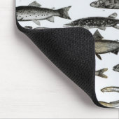 Ichthyologie, knöcherne Fische, Marisipobranchs Mousepad (Ecke)