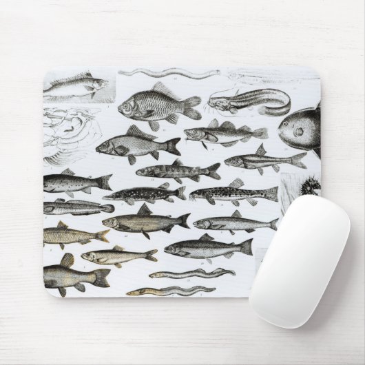Ichthyologie, knöcherne Fische, Marisipobranchs Mousepad (Mit Mouse)