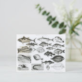 Ichthyologie Osseous Fish Postkarte (Stehend Vorderseite)