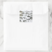Ichthyologie Osseous Fish Quadratischer Aufkleber (Tasche)