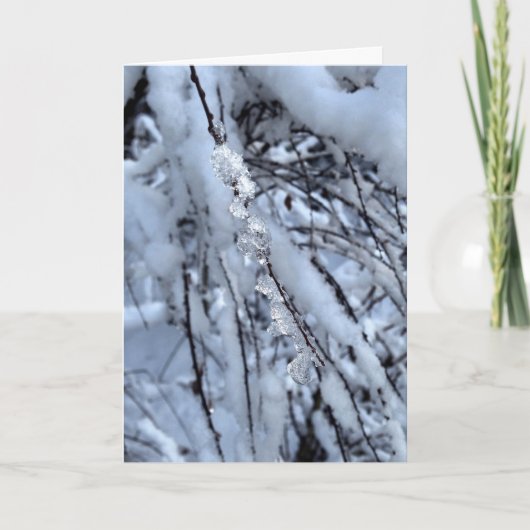 Icicle Holiday Card - Axial Tilt Feiertagskarte (Vorderseite)