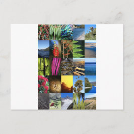 Iconi Neuseeland Kiwiana Naturszenen Postkarte