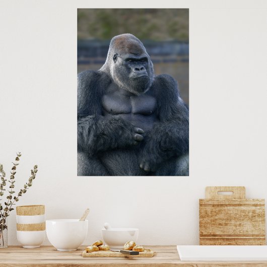 Iconic Silverback Oumbi Poster (Küche)