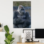 Iconic Silverback Oumbi Poster (Heimbüro)