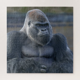 Iconic Silverback Oumbi Puzzle