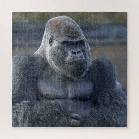 Iconic Silverback Oumbi Puzzle (Vertikal)