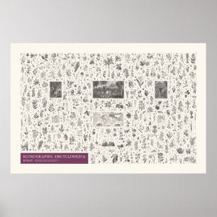 Iconographie - Botanik Poster