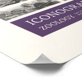 Iconographie - Zoologische Szenen Poster (Ecke)