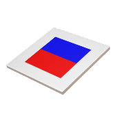 ICS-Flag E Fliese (Seite)