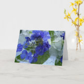 Icted Phlox, Karte (Gelbe Blume)