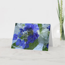 Icted Phlox, Karte