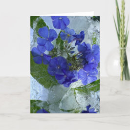 Icted Phlox, Karte