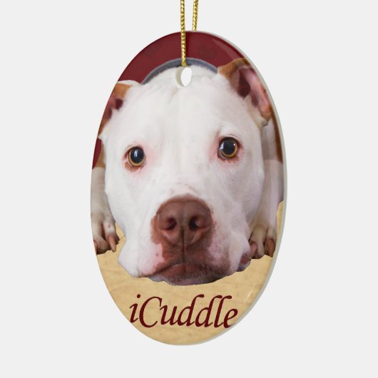iCuddle Pitbull Keramik Ornament (Links)