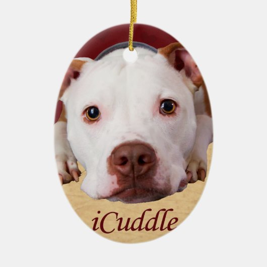 iCuddle Pitbull Keramik Ornament (Vorne)
