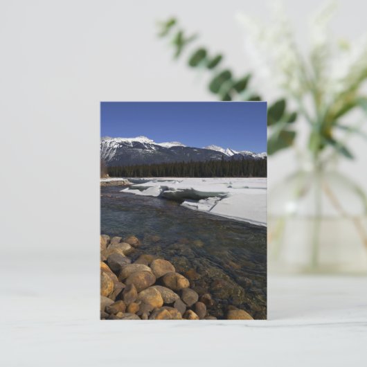 Icy Athabasca River Postkarte (Stehend Vorderseite)