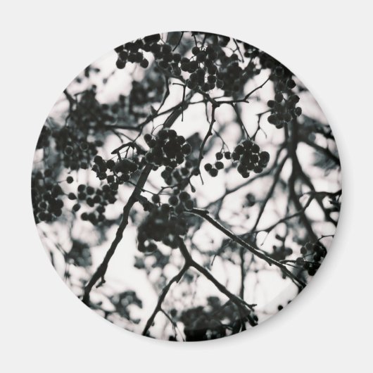 Icy Berries Magnet (Vorne)
