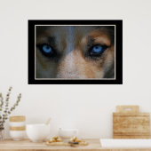 Icy Blue Canine Eyes Poster (Küche)