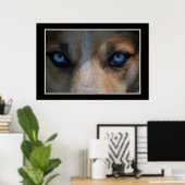 Icy Blue Canine Eyes Poster (Heimbüro)