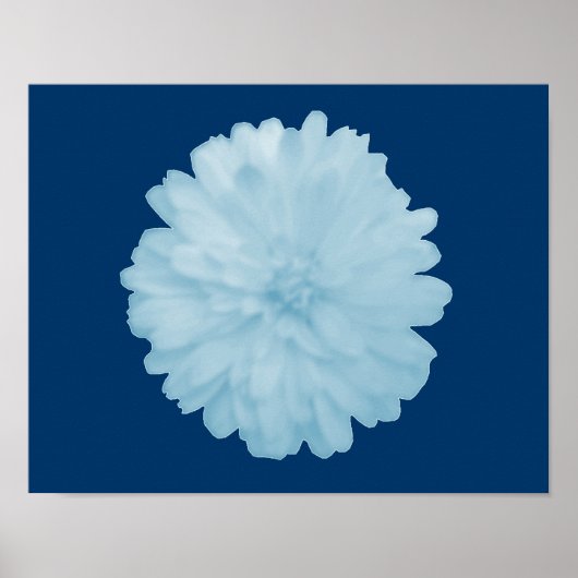 Icy Blue Marigold Poster (Vorne)