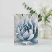 Icy Blue succulent Postkarte (Stehend Vorderseite)