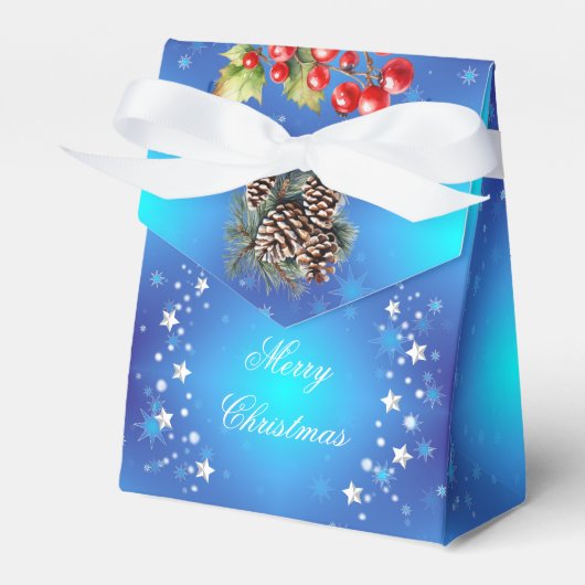 Icy Blue White Stars Pine Cone Red Berries Geschen Geschenkschachtel (Vorderseite)