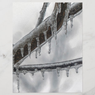 Icy Branch