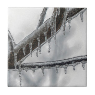 Icy Branch Fliese