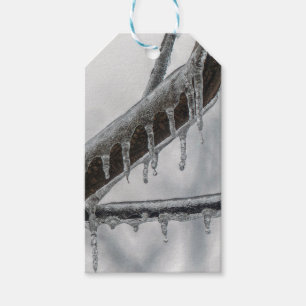 Icy Branch Geschenkanhänger
