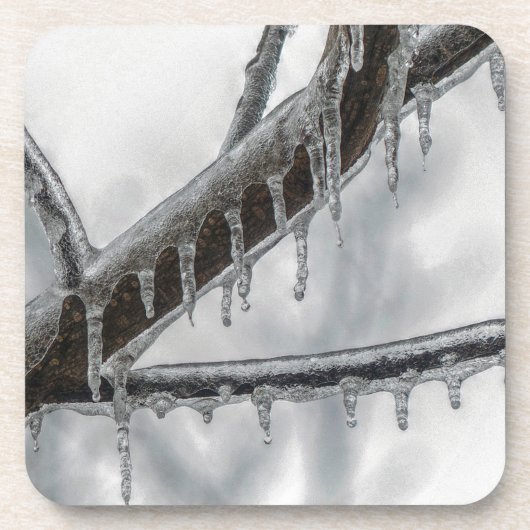 Icy Branch Getränkeuntersetzer (Vorderseite)