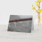 Icy Branch Karte (Gelbe Blume)