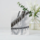 Icy Branch Postkarte (Stehend Vorderseite)