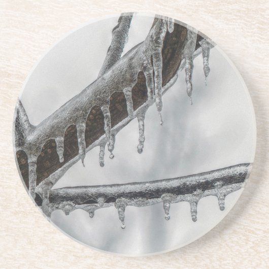 Icy Branch Sandstein Untersetzer (Vorne)