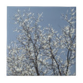 Icy Branches in Winter Blue Sky Fliese (Vorderseite)