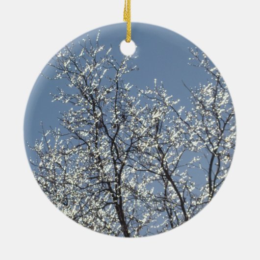 Icy Branches in Winter Blue Sky Keramik Ornament (Hinten)