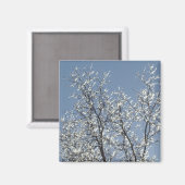 Icy Branches in Winter Blue Sky Magnet (Vorderseite/Rückseite)