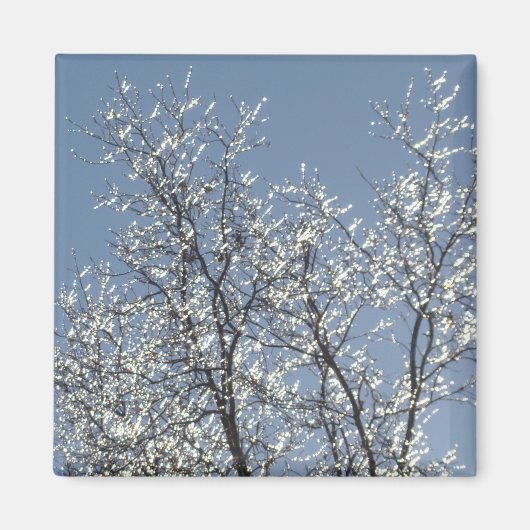 Icy Branches in Winter Blue Sky Magnet (Vorne)