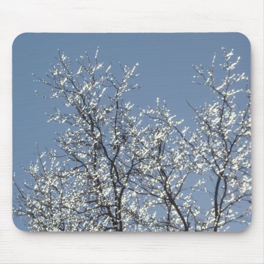 Icy Branches in Winter Blue Sky Mousepad (Vorne)