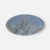 Icy Branches in Winter Blue Sky Pappteller (Schrägansicht)