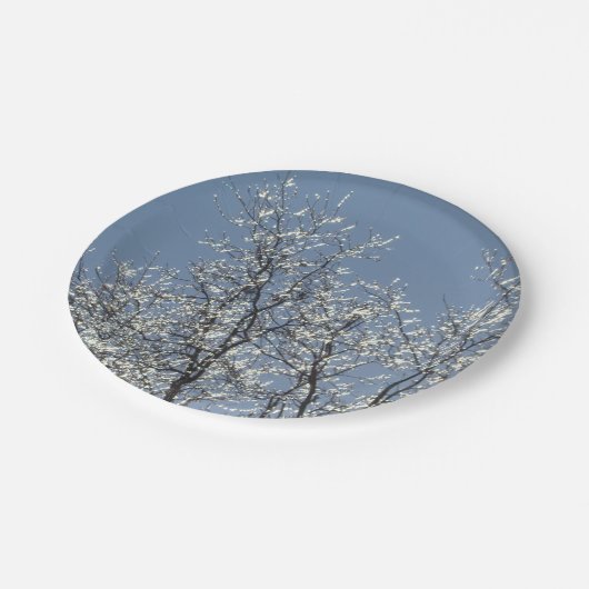 Icy Branches in Winter Blue Sky Pappteller (Schrägansicht)
