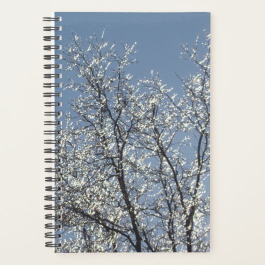 Icy Branches in Winter Blue Sky Planer (Vorderseite)