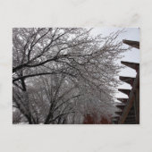 Icy Delmar Loop Postkarte (Vorderseite)