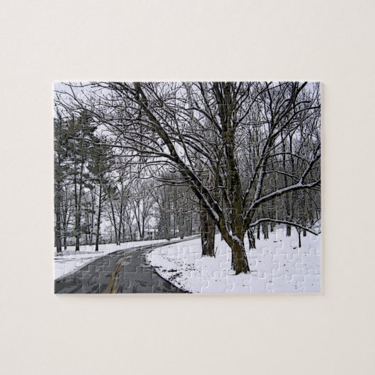 Icy Desised Road Puzzle (Horizontal)