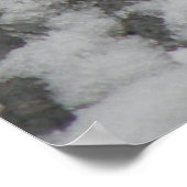 Icy Feet Starling Print Poster (Ecke)